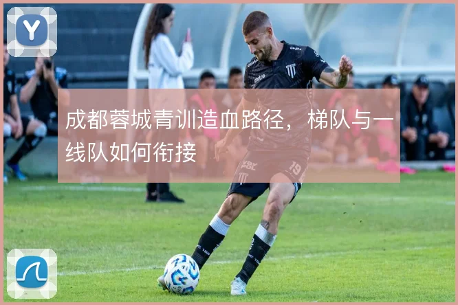 成都蓉城青训造血路径，梯队与一线队如何衔接