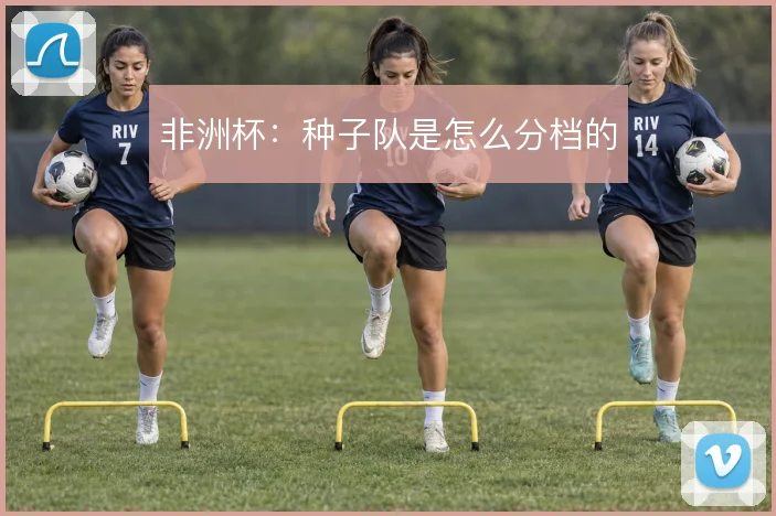 非洲杯:种子队是怎么分档的
