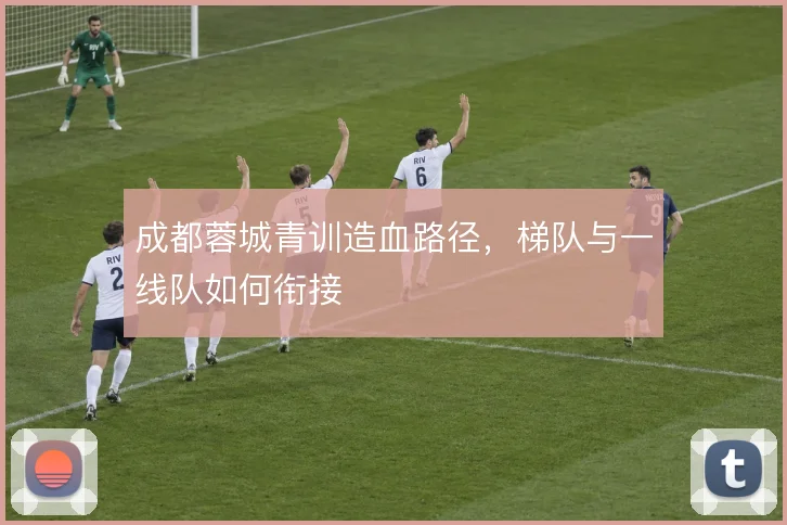 成都蓉城青训造血路径，梯队与一线队如何衔接